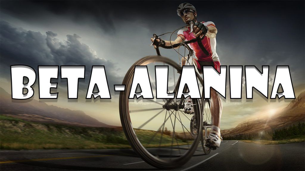 Beta alanina para bajar de peso